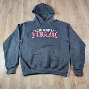 Champion University Of Chicago Hoodie Mens Medium Vintage Gray Sweatshirt Y2k
